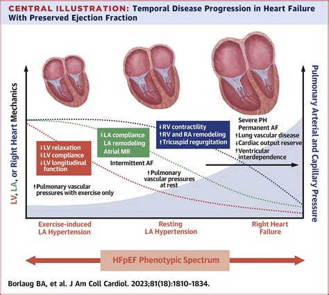 what is preserved ejection fraction